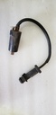 ARCTIC CAT-Coil, Ignition - Assembly-0824-043