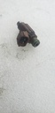 YAMAHA-INJECTOR - YAMAHA - 8FP-13761-10-00 YAMAHA-8FP-13761-10-00