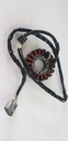 YAMAHA-Stator Assy-8GL-81410-00-00