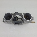 POLARIS-throttle body assembly, 48 mm-1205241