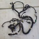 Main Harness M8
