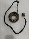 BRP (Can-am / Ski-doo)-magneto ass'y-420685287