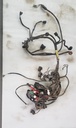 YAMAHA-Wire Harness Assy-2BG-82590-00-00