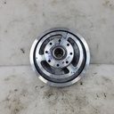 DRIVEN CLUTCH