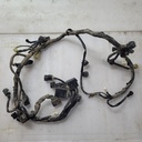 Wire Harness Assy