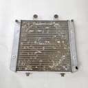 POLARIS-(new ref. 1241477) asm-radiator,324x300,vgt-1240520