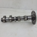 (new ref. 420820112) camshaft, exhaust
