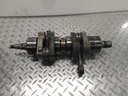 POLARIS-(new ref. 2207761) crankshaft kit-2205648