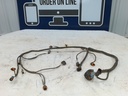 BRP (Can-am / Ski-doo)-(new ref. 420666501) engine wiring harness-420666500