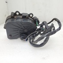 gear motor
