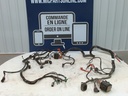 BRP (Can-am / Ski-doo)-Main Wiring Harness-710007295
