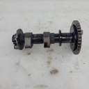 POLARIS-exhaust camshaft assembly-3023632