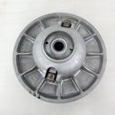 driven clutch