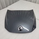 Asphalt Grey, Front Hood