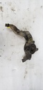 KAWASAKI-KNUCKLE,FR,RH-39186-0097