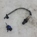 POLARIS-heated oxygen sensor-4011853