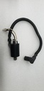 POLARIS-ignition coil w/ cap-4012136
