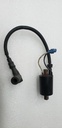 COIL-IGN,DC-SDI,LE,PTO