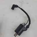 POLARIS-coil-ign,dc-sdi,w/zip tie,mag-4014515